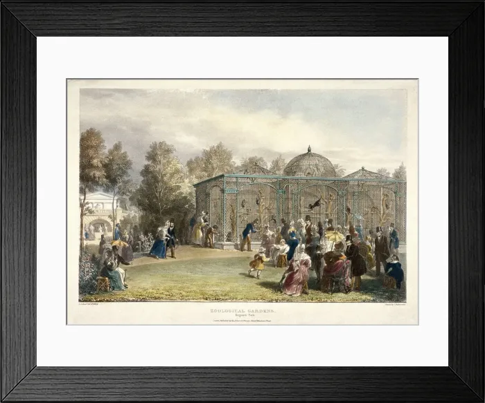 Framed Print : Zoological Gardens, Regents Park, London, 1835. Artist: George Scharf Framed Print : Zoological Gardens, Regents Park, London, 1835. Artist: George Scharf