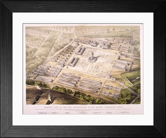 Framed Print : Metropolitan Cattle Market, London, 1855. Artist: King Framed Print : Metropolitan Cattle Market, London, 1855. Artist: King
