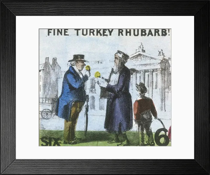 Framed Print : Fine Turkey Rhubarb!, Cries of London, c1840. Artist: TH Jones Framed Print : Fine Turkey Rhubarb!, Cries of London, c1840. Artist: TH Jones