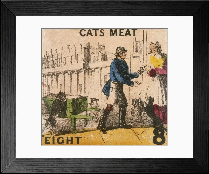 Framed Print : Cats Meat, Cries of London, c1840. Artist: TH Jones Framed Print : Cats Meat, Cries of London, c1840. Artist: TH Jones