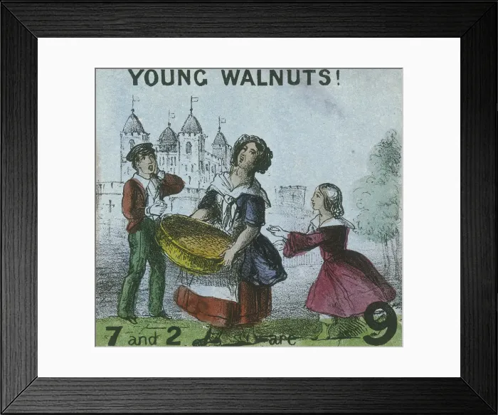 Framed Print : Young Walnuts!, Cries of London, c1840. Artist: TH Jones Framed Print : Young Walnuts!, Cries of London, c1840. Artist: TH Jones