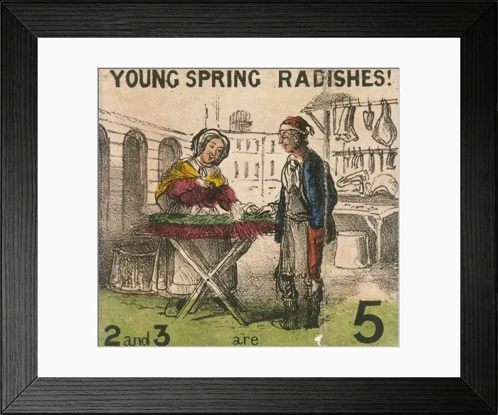 Framed Print : Young Spring Radishes!, Cries of London, c1840. Artist: TH Jones Framed Print : Young Spring Radishes!, Cries of London, c1840. Artist: TH Jones