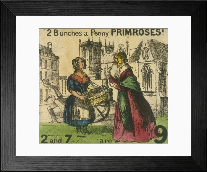 Framed Print : 2 Bunches a Penny Primroses!, Cries of London, c1840. Artist: TH Jones Framed Print : 2 Bunches a Penny Primroses!, Cries of London, c1840. Artist: TH Jones