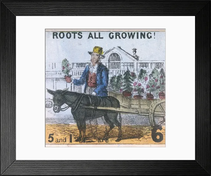 Framed Print : Roots all Growing!, Cries of London, c1840. Artist: TH Jones Framed Print : Roots all Growing!, Cries of London, c1840. Artist: TH Jones