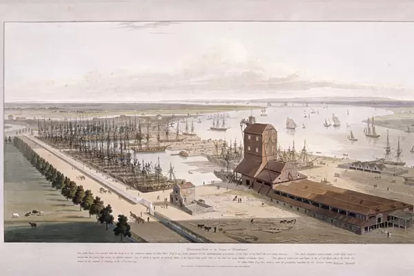 Brunswick Dock, and East India Dock, Poplar, London, 1803. Artist: William Daniell