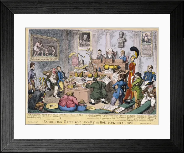 Framed Print : Exhibition at the Royal Horticultural Society, London, 1826. Artist: George Cruikshank Framed Print : Exhibition at the Royal Horticultural Society, London, 1826. Artist: George Cruikshank