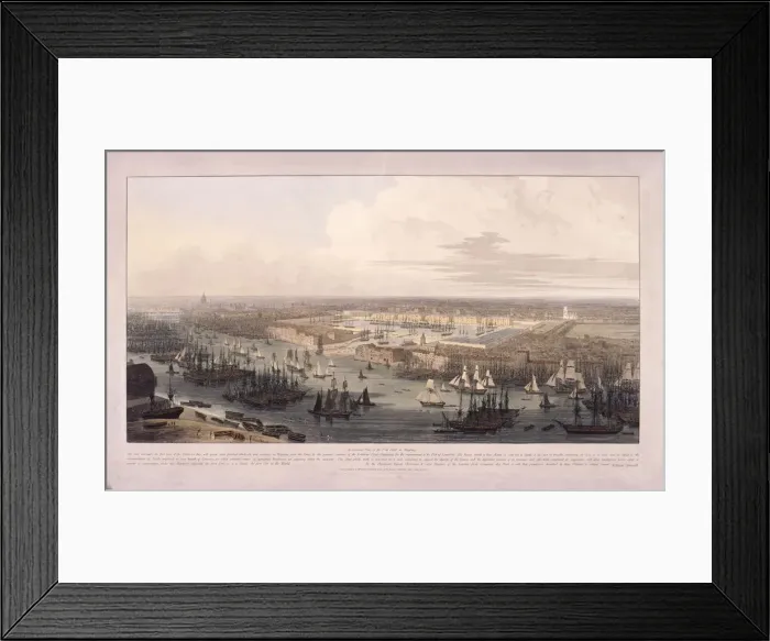 Framed Print : London Docks, 1803. Artist: William Daniell Framed Print : London Docks, 1803. Artist: William Daniell