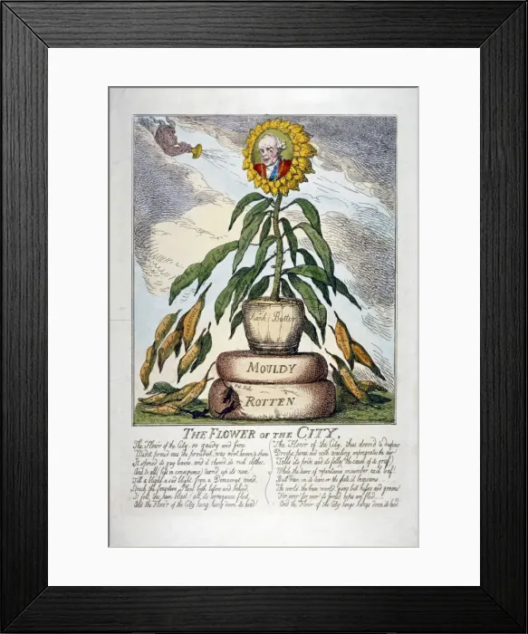 Framed Print : The Flower of the City, 1809. Artist: Thomas Rowlandson Framed Print : The Flower of the City, 1809. Artist: Thomas Rowlandson