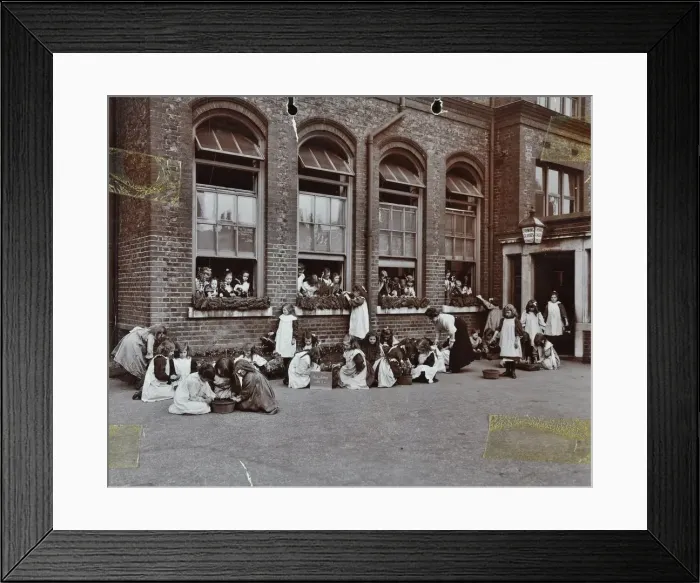 Framed Print : Nature class in the playground, Albion Street Girls School, Rotherhithe, London, 1908 Framed Print : Nature class in the playground, Albion Street Girls School, Rotherhithe, London, 1908