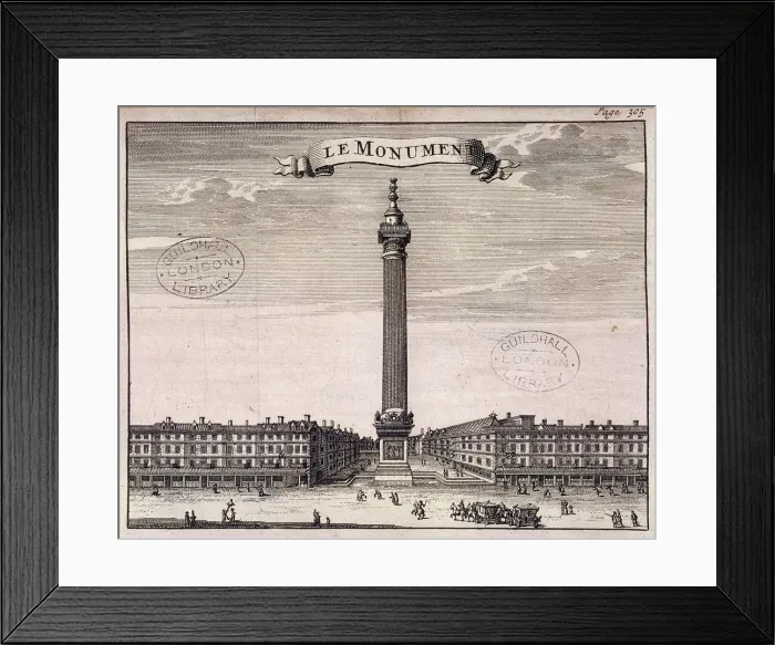 Framed Print : Monument, London, c1698 Framed Print : Monument, London, c1698