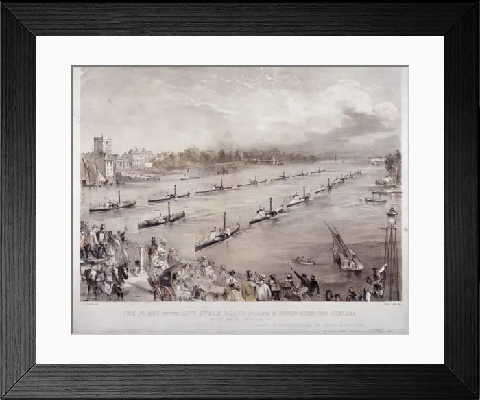 Framed Print : The fleet of the City steamboats passing in review order off Chelsea, London, c1860 Framed Print : The fleet of the City steamboats passing in review order off Chelsea, London, c1860