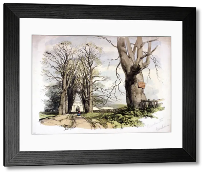 Framed Print : Blackheath, Greenwich, London, c1835 Framed Print : Blackheath, Greenwich, London, c1835