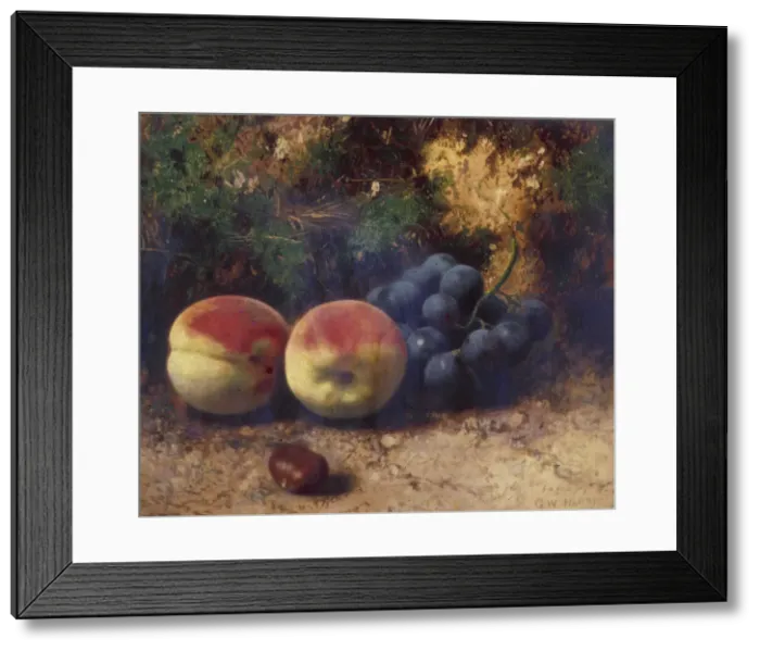 Framed Print : Peaches and Grapes, 1864. Artist: George Walter Harris Framed Print : Peaches and Grapes, 1864. Artist: George Walter Harris