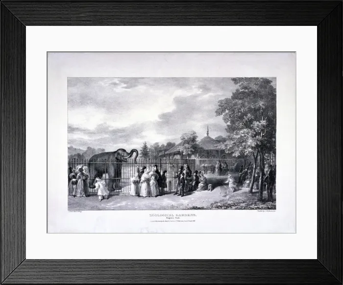 Framed Print : Zoological Gardens, Regents Park, Marylebone, London, 1835. Artist: George Scharf Framed Print : Zoological Gardens, Regents Park, Marylebone, London, 1835. Artist: George Scharf
