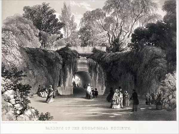 Zoological Gardens, Regents Park, Marylebone, London, c1840. Artist: FW Hulme