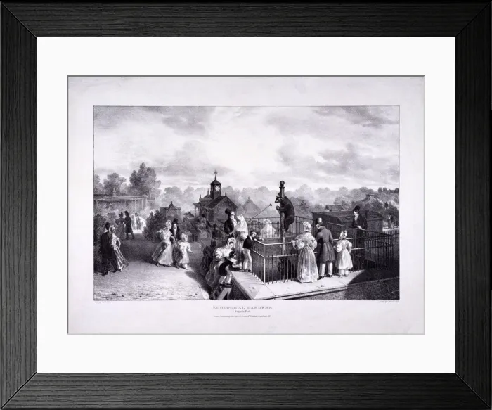 Framed Print : Zoological Gardens, Regents Park, Marylebone, London, 1835. Artist: George Scharf Framed Print : Zoological Gardens, Regents Park, Marylebone, London, 1835. Artist: George Scharf