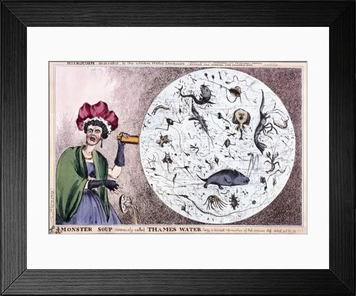 Framed Print : Monster soup commonly called Thames water... 1828. Artist: Thomas McLean Framed Print : Monster soup commonly called Thames water... 1828. Artist: Thomas McLean