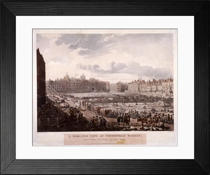 Framed Print : Smithfield Market, London, 1811. Artist: Thomas Rowlandson Framed Print : Smithfield Market, London, 1811. Artist: Thomas Rowlandson
