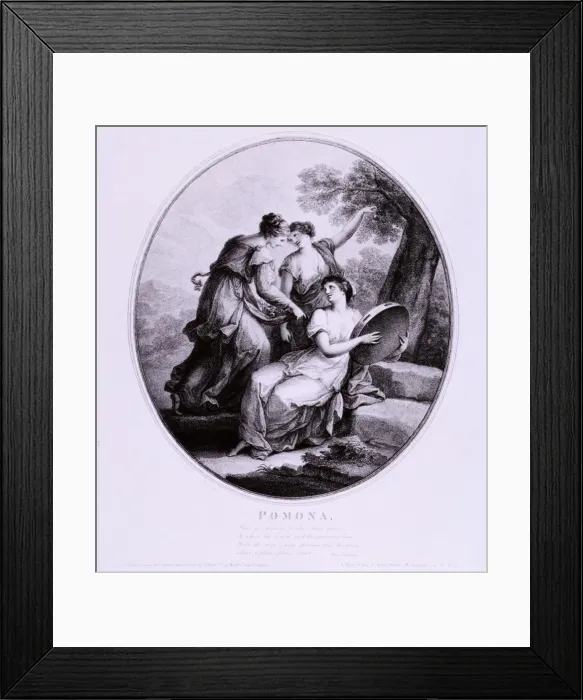 Framed Print : Pomona, c1782. Artist: Francesco Bartolozzi Framed Print : Pomona, c1782. Artist: Francesco Bartolozzi