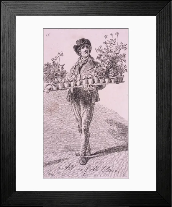 Framed Print : All in full bloom, Cries of London, 1819. Artist: John Thomas Smith Framed Print : All in full bloom, Cries of London, 1819. Artist: John Thomas Smith