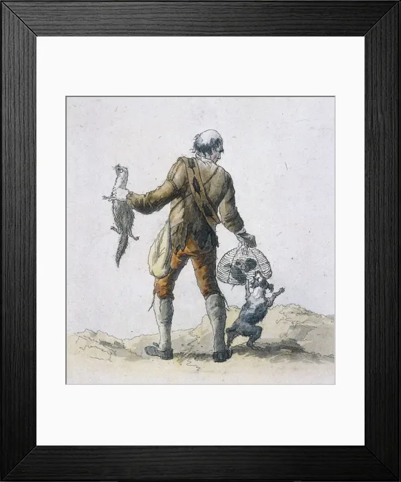 Framed Print : A rat catcher, Provincial Characters, 1804. Artist: William Henry Pyne Framed Print : A rat catcher, Provincial Characters, 1804. Artist: William Henry Pyne