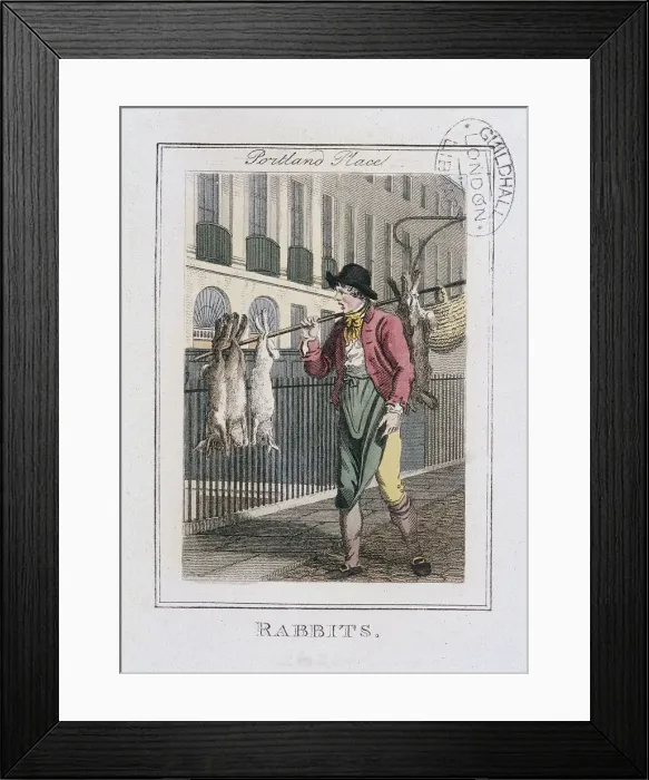 Framed Print : Rabbits, Cries of London, 1804 Framed Print : Rabbits, Cries of London, 1804