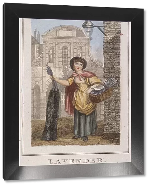 Lavender, Cries of London, 1804