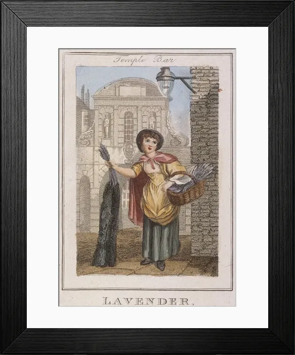 Framed Print : Lavender, Cries of London, 1804 Framed Print : Lavender, Cries of London, 1804