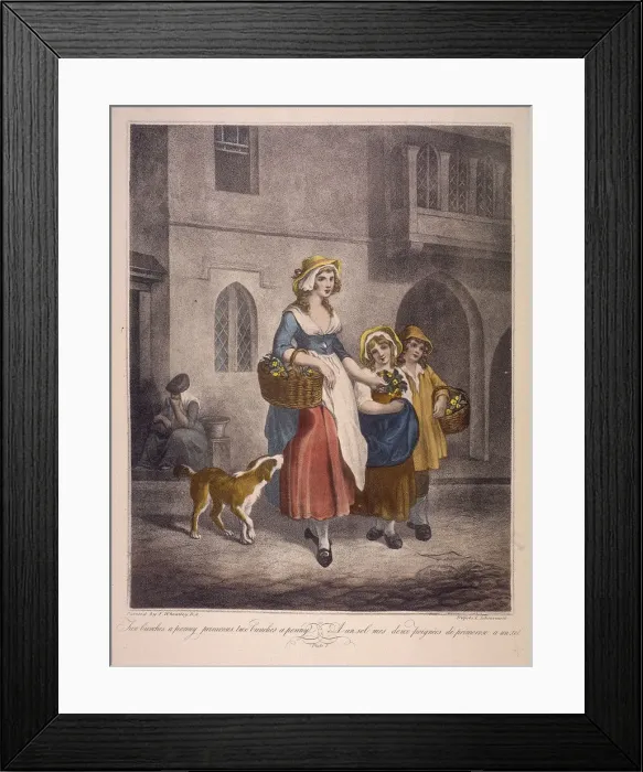 Framed Print : Two bunches a penny primroses, two bunches a penny, Cries of London, c1870. Artist Framed Print : Two bunches a penny primroses, two bunches a penny, Cries of London, c1870. Artist