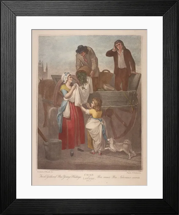 Framed Print : Fresh Gathered Peas Young Hastings, Cries of London, c1870 Framed Print : Fresh Gathered Peas Young Hastings, Cries of London, c1870