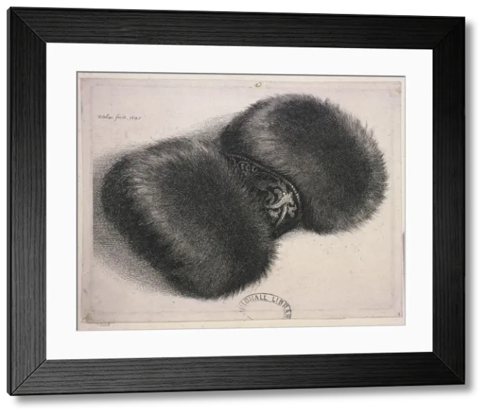 Framed Print : A large muff with a band of brocade, 1647. Artist: Wenceslaus Hollar