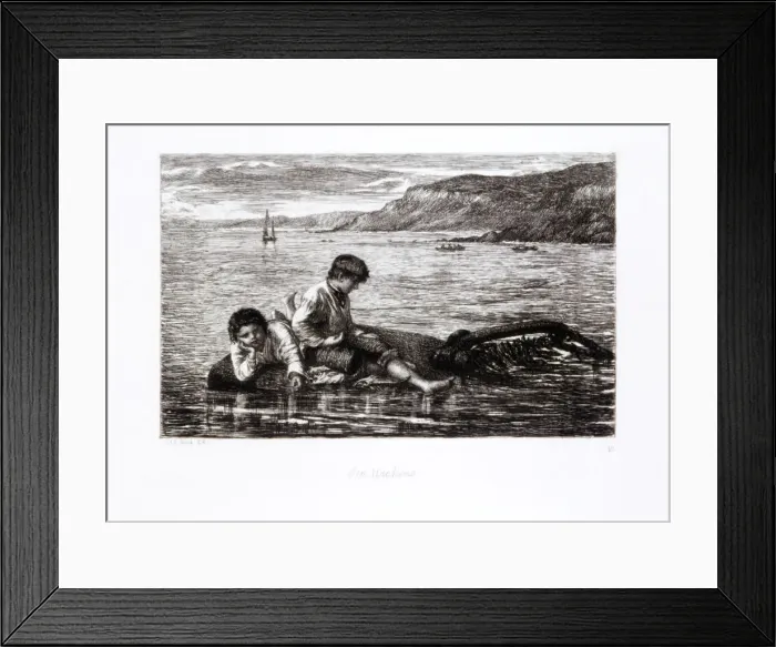 Framed Print : Sea Urchins, 1872. Artist: James Clarke Hook Framed Print : Sea Urchins, 1872. Artist: James Clarke Hook