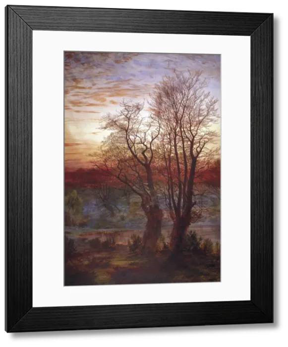 Framed Print : Burnham Beeches, c1841-1902. Artist: Andrew MacCallum Framed Print : Burnham Beeches, c1841-1902. Artist: Andrew MacCallum