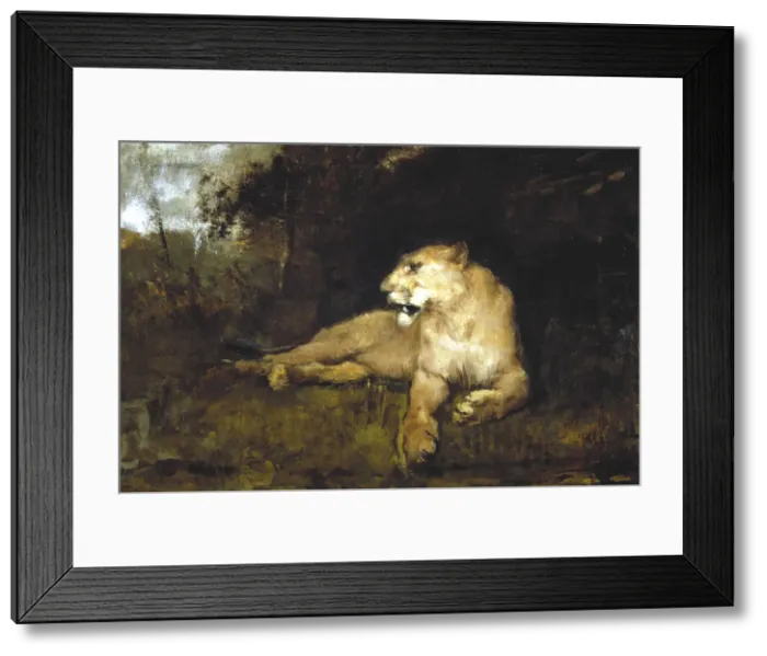 Framed Print : A Lioness, c1867-1910. Artist: John MacAllan Swan Framed Print : A Lioness, c1867-1910. Artist: John MacAllan Swan