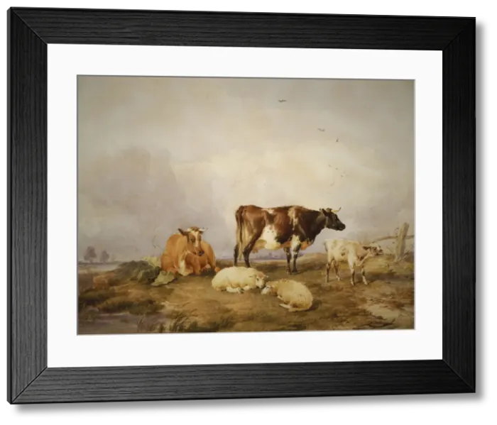 Framed Print : Landscape and Cattle, c1823-1902. Artist: Thomas Sidney Cooper Framed Print : Landscape and Cattle, c1823-1902. Artist: Thomas Sidney Cooper