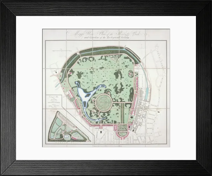 Framed Print : Plan of the Zoological Gardens, Regents Park, St Marylebone, London, 1828. Artist Framed Print : Plan of the Zoological Gardens, Regents Park, St Marylebone, London, 1828. Artist
