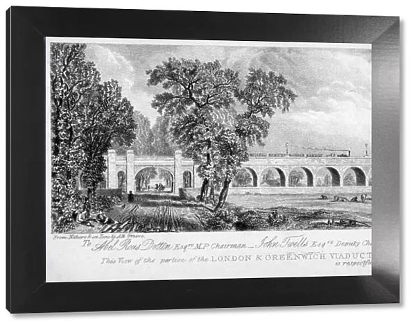 London and Greenwich Viaduct, Bermondsey, London, 1835. Artist