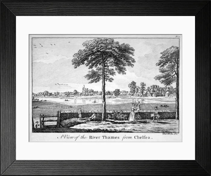 Framed Print : View of the River Thames from Chelsea, London, 1750 Framed Print : View of the River Thames from Chelsea, London, 1750