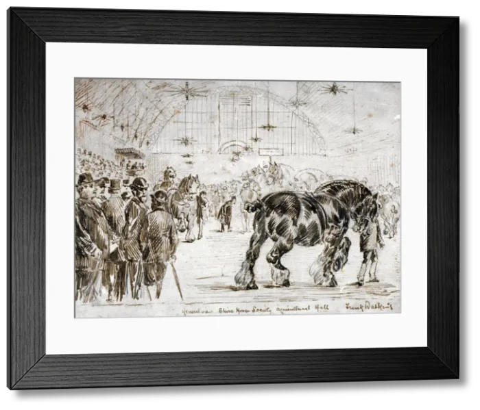 Framed Print : Meeting of the Shire Horse Society in Islingtons Agricultural Hall, London, c1875 Framed Print : Meeting of the Shire Horse Society in Islingtons Agricultural Hall, London, c1875
