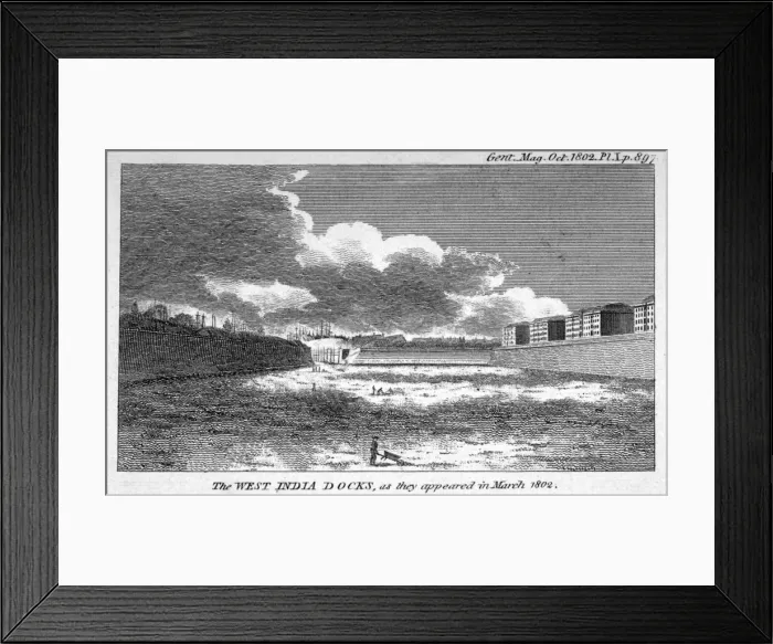 Framed Print : View of West India Docks, Poplar, London, 1802 Framed Print : View of West India Docks, Poplar, London, 1802