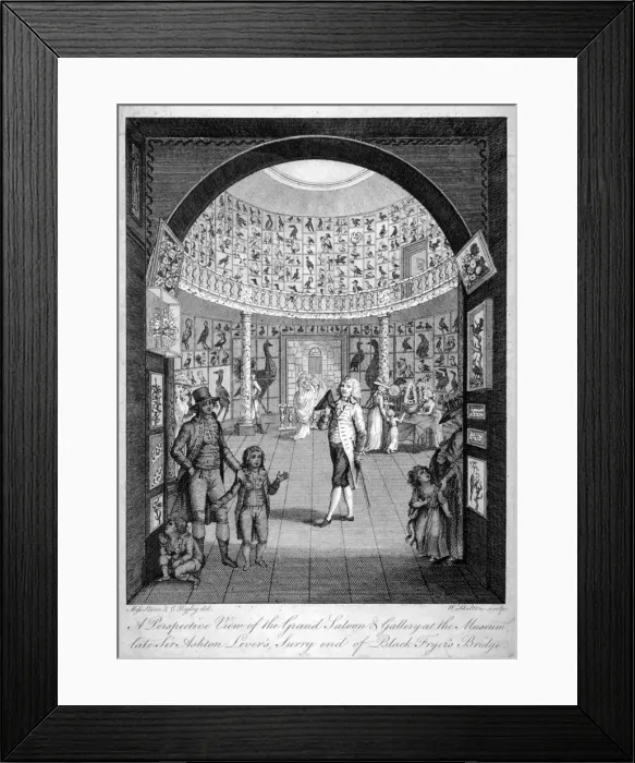 Framed Print : Interior view of the Leverian Museum, Albion Place, Southwark, London, c1795 Framed Print : Interior view of the Leverian Museum, Albion Place, Southwark, London, c1795