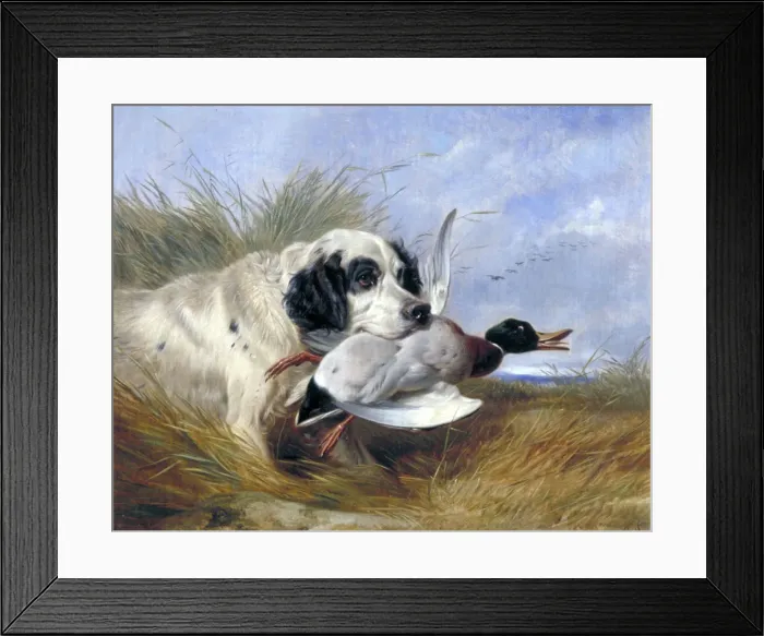 Framed Print : Dog with Wild Duck, 19th century. Artist: Richard Ansdell Framed Print : Dog with Wild Duck, 19th century. Artist: Richard Ansdell