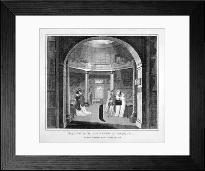 Framed Print : Interior view of the Leverian Museum, Albion Place, Southwark, London, 1806 Framed Print : Interior view of the Leverian Museum, Albion Place, Southwark, London, 1806