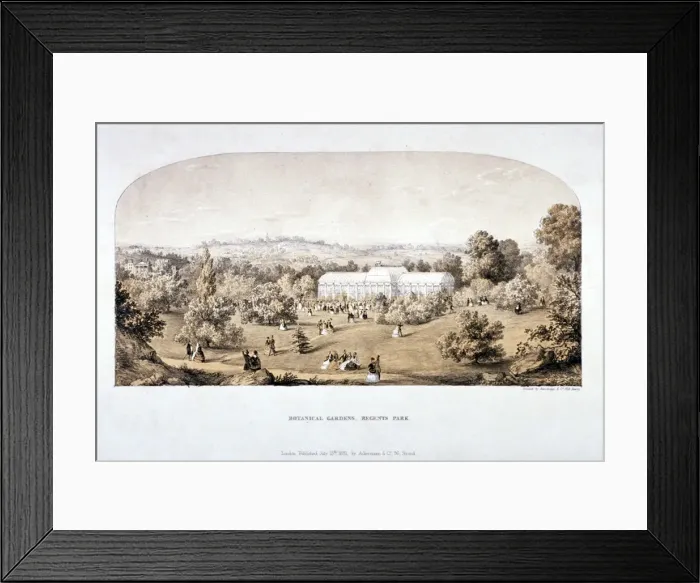 Framed Print : View of the Botanical Gardens in Regents Park, Marylebone, London, 1851 Framed Print : View of the Botanical Gardens in Regents Park, Marylebone, London, 1851