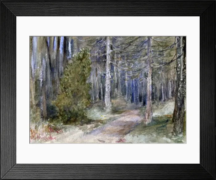 Framed Print : In a Wood, c1864-1930. Artist: Anna Lea Merritt Framed Print : In a Wood, c1864-1930. Artist: Anna Lea Merritt