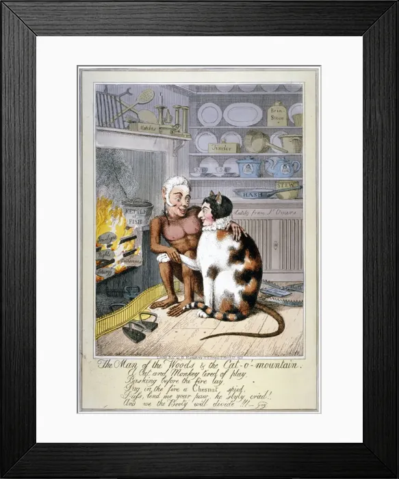 Framed Print : The man of the woods & the cat-o -mountain, 1821 Framed Print : The man of the woods & the cat-o -mountain, 1821