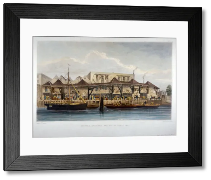 Framed Print : Brewers Quay, Chester Quay and Galley Quay, Lower Thames Street, City of London, 1841 Framed Print : Brewers Quay, Chester Quay and Galley Quay, Lower Thames Street, City of London, 1841