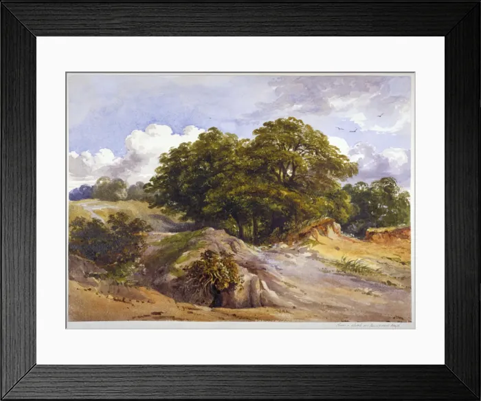 Framed Print : Hampstead Heath, London, c1843 Framed Print : Hampstead Heath, London, c1843