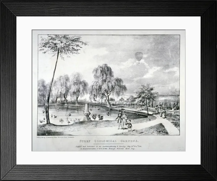 Framed Print : Surrey Zoological Gardens, Southwark, London, 1836. Artist: F Alvey Framed Print : Surrey Zoological Gardens, Southwark, London, 1836. Artist: F Alvey