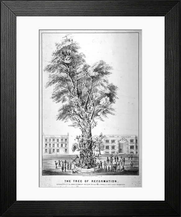 Framed Print : The Tree of Reformation, 1853 Framed Print : The Tree of Reformation, 1853